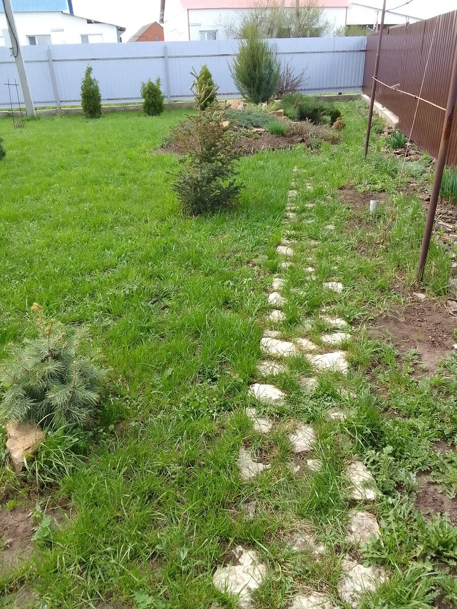 Моя дорожка