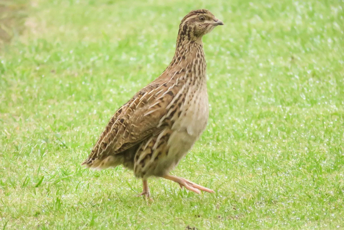 Фото из открытых источников Яндекс.Картинки