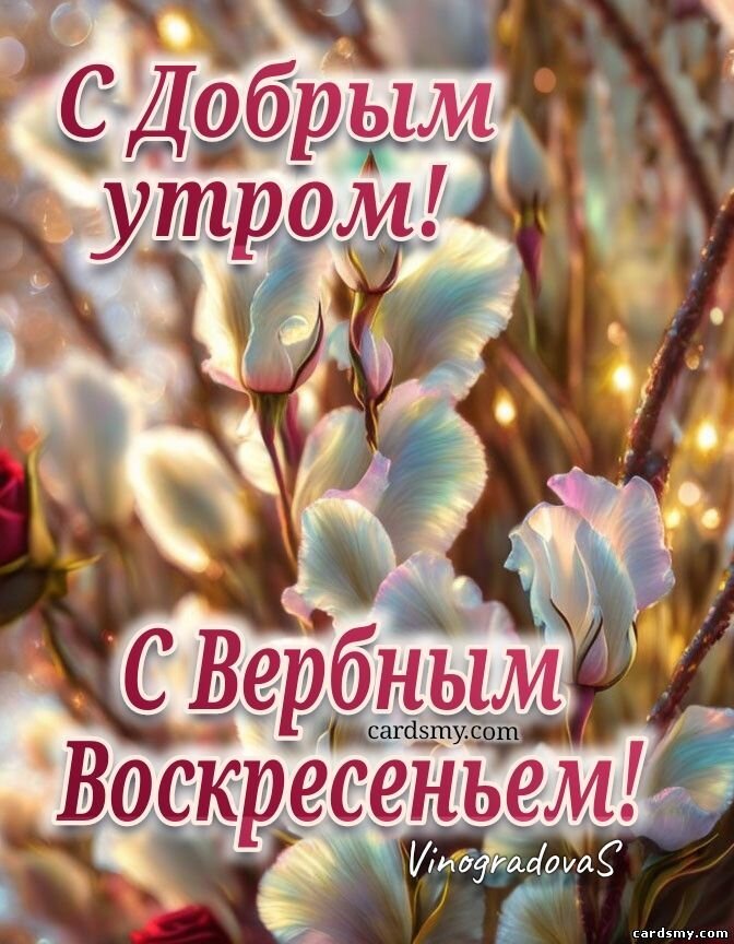 Изображение взято из сети Интернет 