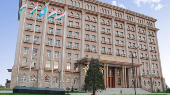    МИД Таджикистана призвал граждан страны отказаться от поездок в Россию Анастасия Романова
