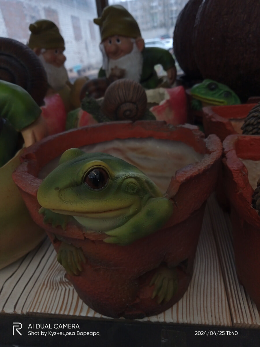 Вот такие симпатичные лягушки попались недалеко от входа