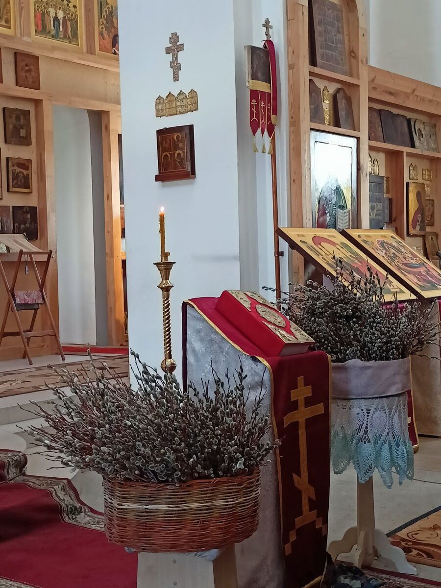 Вербы на праздник в старообрядческом храме во имя Покрова Пресвятой Богородицы г. Барнаула