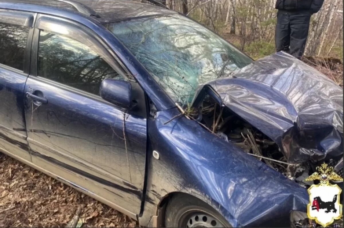    Автомобиль выехал на обочину и насмерть сбил женщину в Иркутской области
