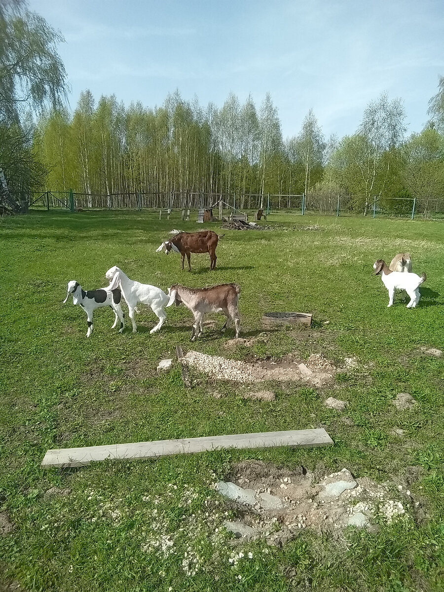 Фото автора. 