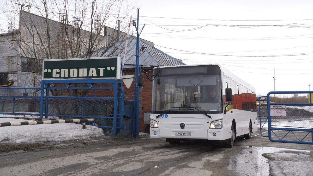 На улицы Сургута выходят десять новых автобусов | Сургутская Трибуна |  Новости Сургута и Югры | Дзен