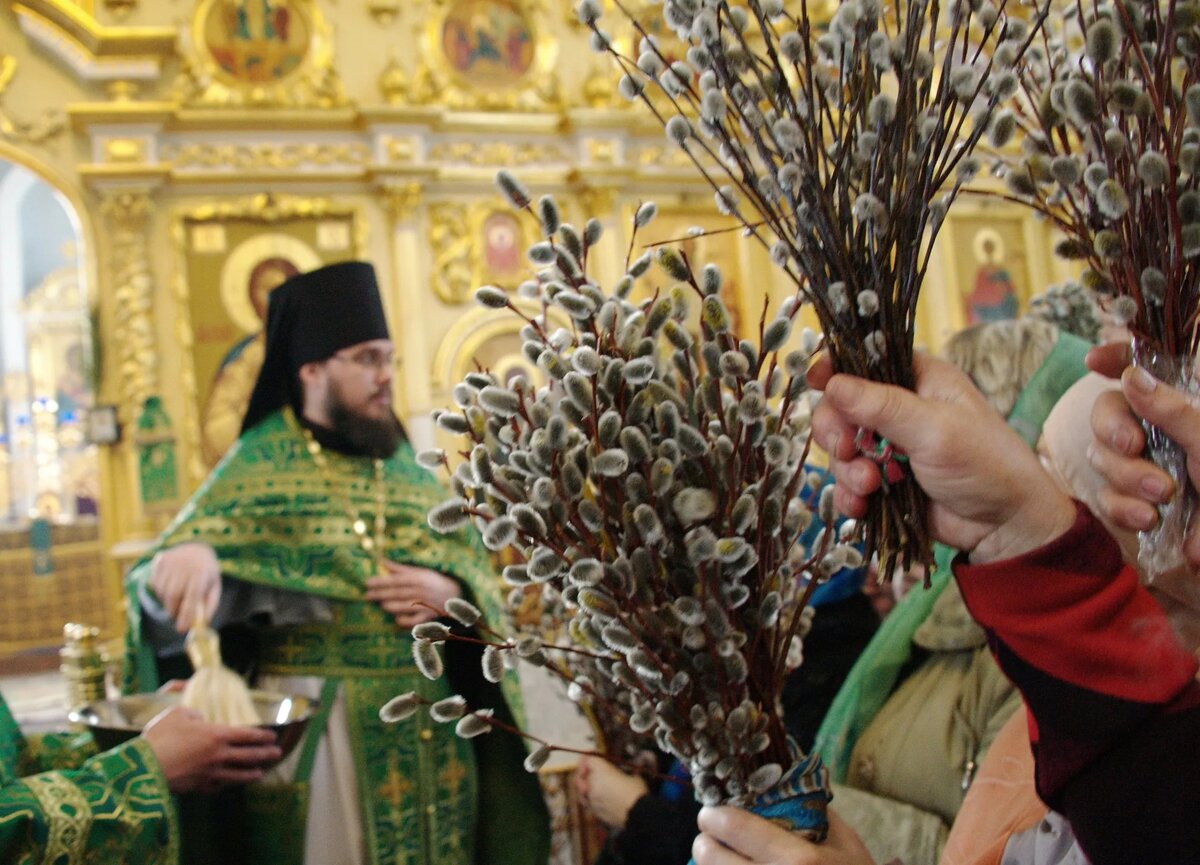 Можно ли подстригать в вербное воскресенье. Традиции праздника Вербное воскресенье. Вербное воскресенье освящение вербы. Верба Церковь Вербное Воскресение. Вербное воскресенье праздник в храме.