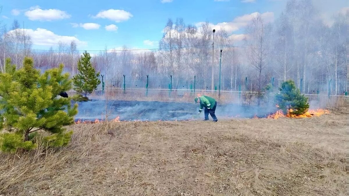 На острове Татышев дважды за день произошел пожар | Проспект Мира | Дзен