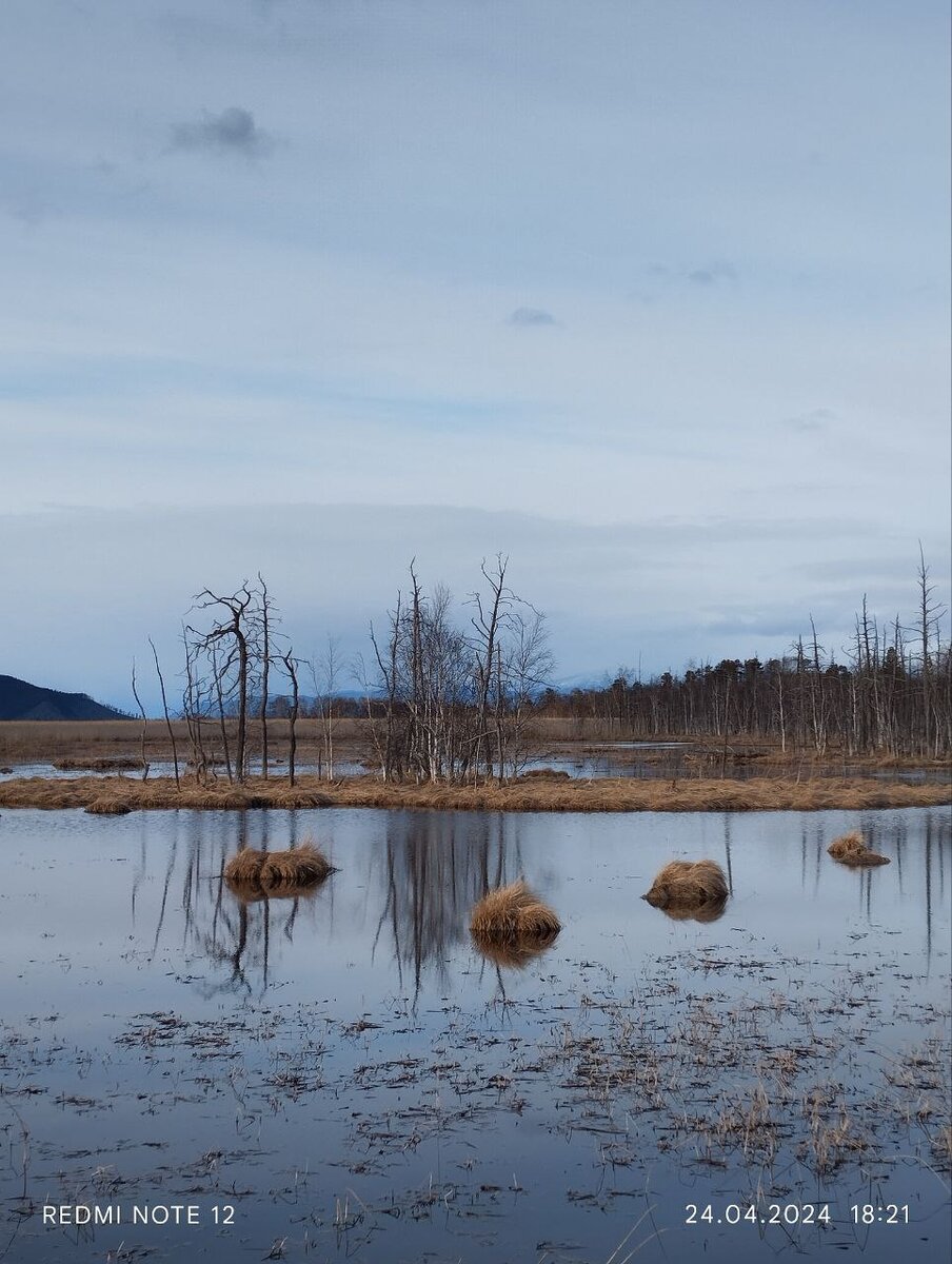 Фото Лубсана Чагдурова