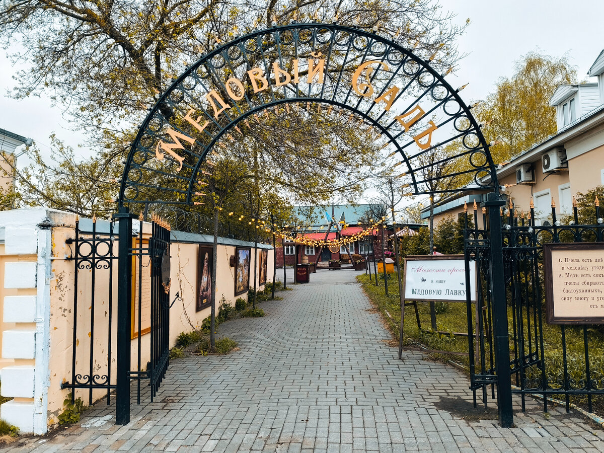 Все фото автора.