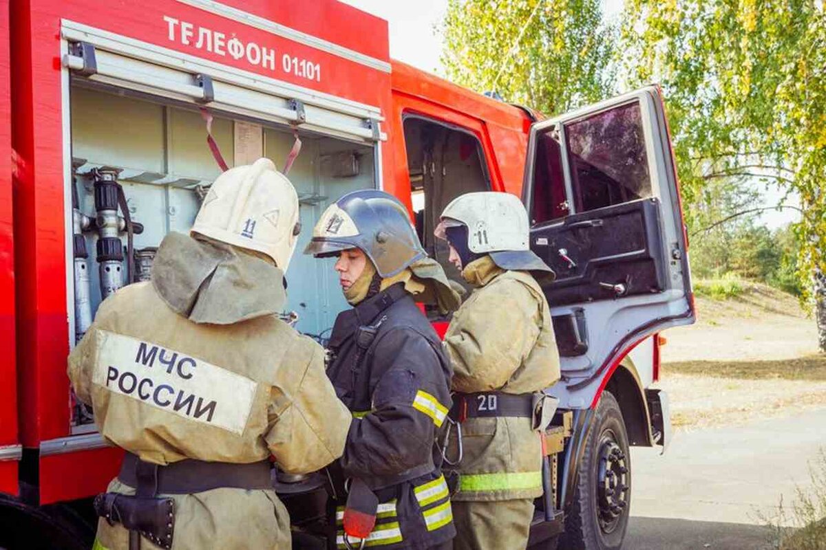 В зоне риска возникновения ЧС из-за лесных пожаров оказалась Воронежская  область | Горком36 | Воронеж | Дзен