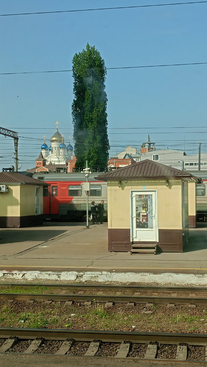 Еду домой в Петербург. Очаровал вид на город Лиски | Вот такая я  путешественница. | Дзен