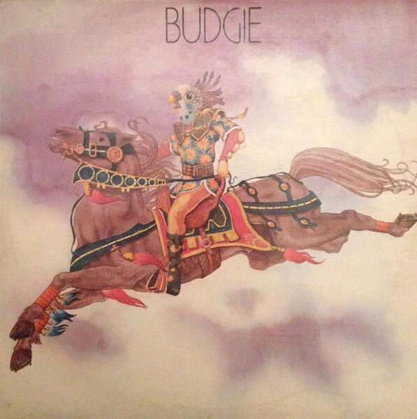 Одноименный дебютный альбом Баджи Budgie стал первой записью в дискографии валлийской хард-рок-группы. Альбом, записанный в студии Rockfield Studios в Монмуте, Уэльс, был выпущен летом 1971 года.