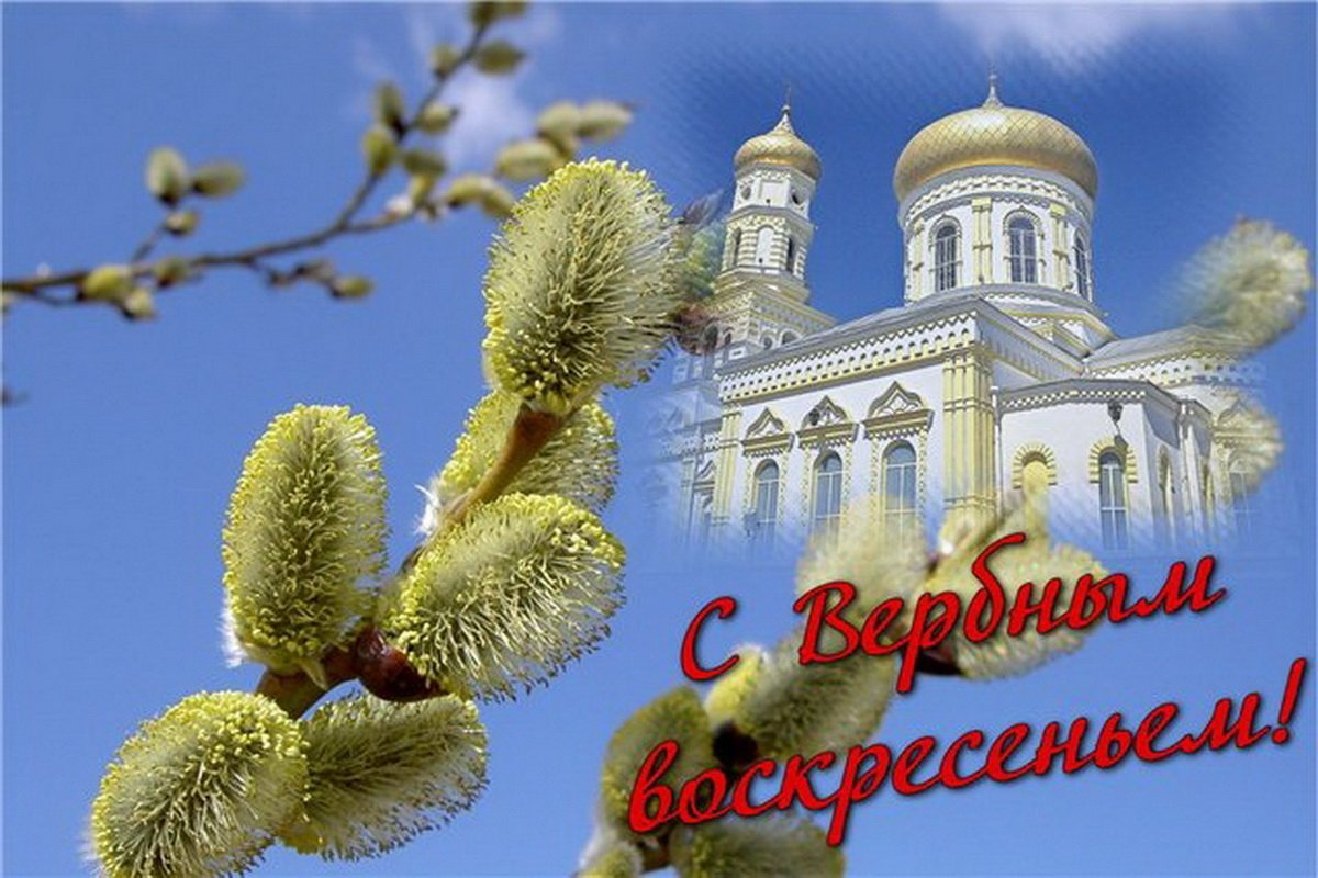 Яндекс.Картинки.