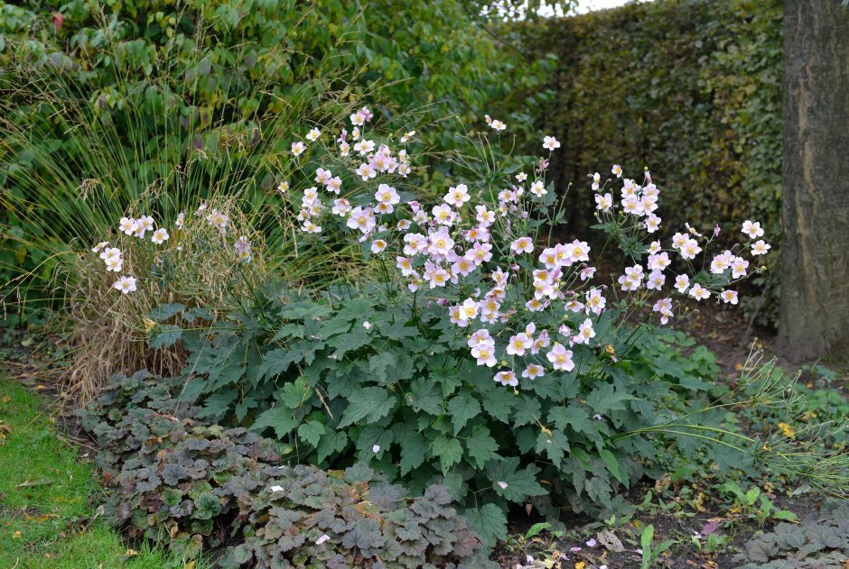 Фото из интернета