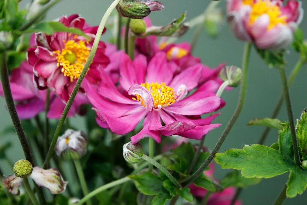 Фото из интернета