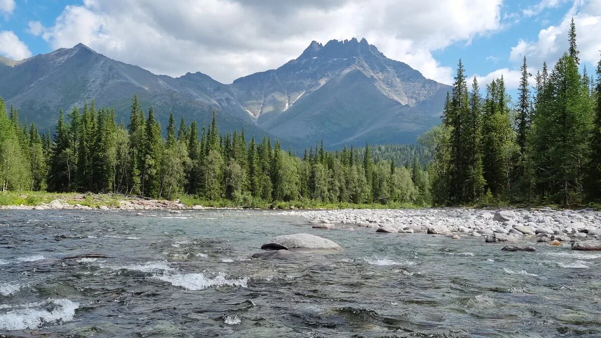 Впереди неизвестность