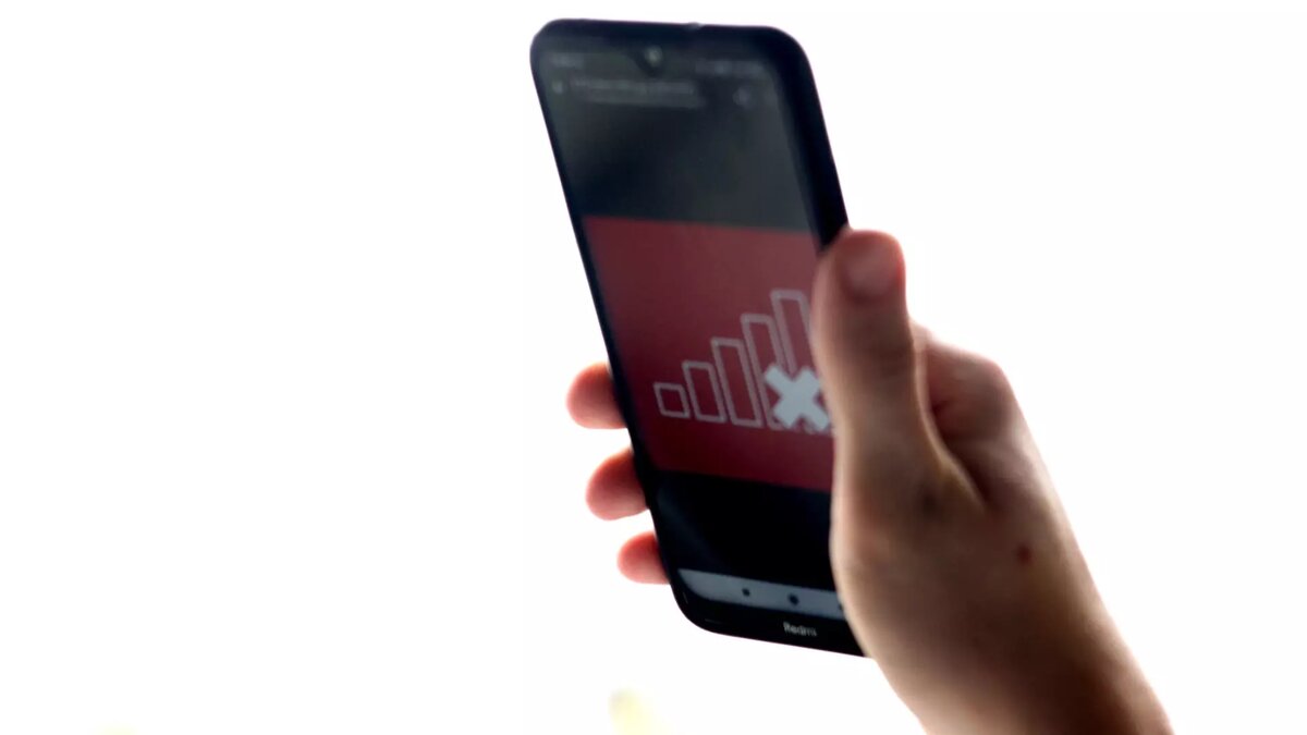     Источник: 1MI