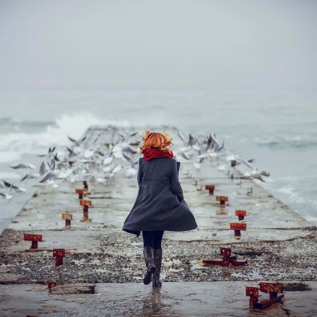 Картинка из открытых источников