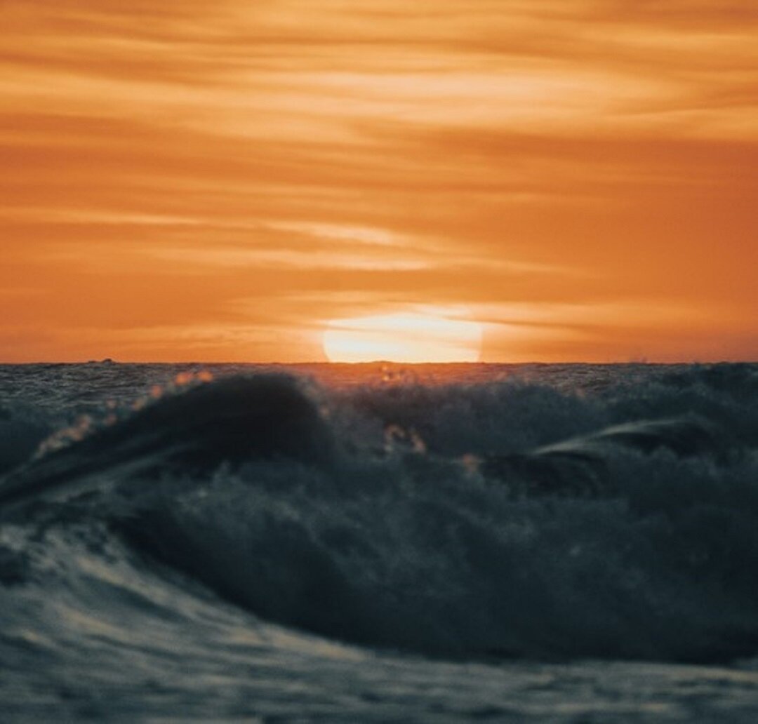 Источник: https://unsplash.com/ 