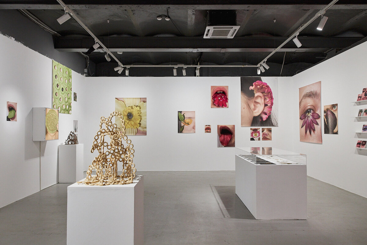    HSE Art Gallery открывает выставочное пространство на «Винзаводе» (фото 1)