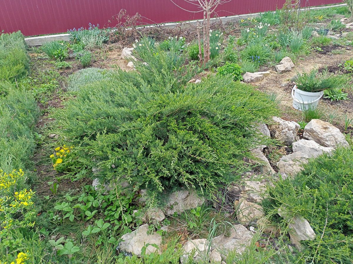 Начало работы