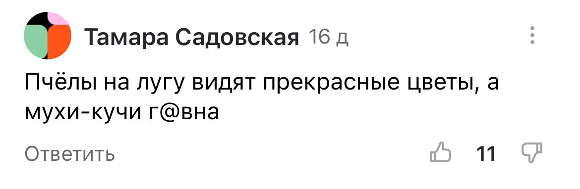 Свой канал в Дзене я веду 4 года и к оскорблениям в свой адрес привык уже давно. Такие комментарии я получаю почти каждый день и воспринимаю их спокойно, иногда даже с улыбкой.-2