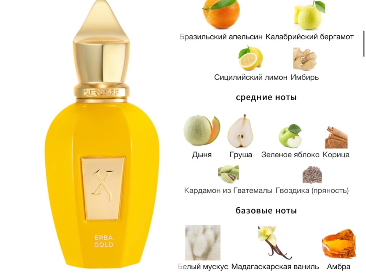 Erba Gold Xerjoff пирамида