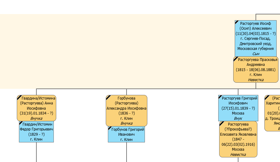 Фрагмент моего родословного древа из программы "Древо жизни"