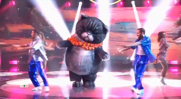 Кадр из шоу «Маска», Кот-2