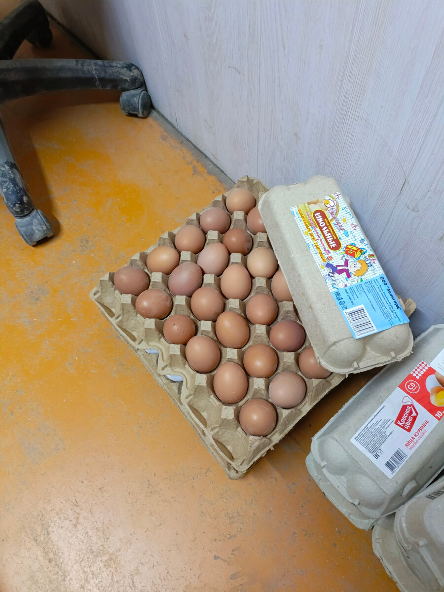 Кассеты и коробки для яиц.