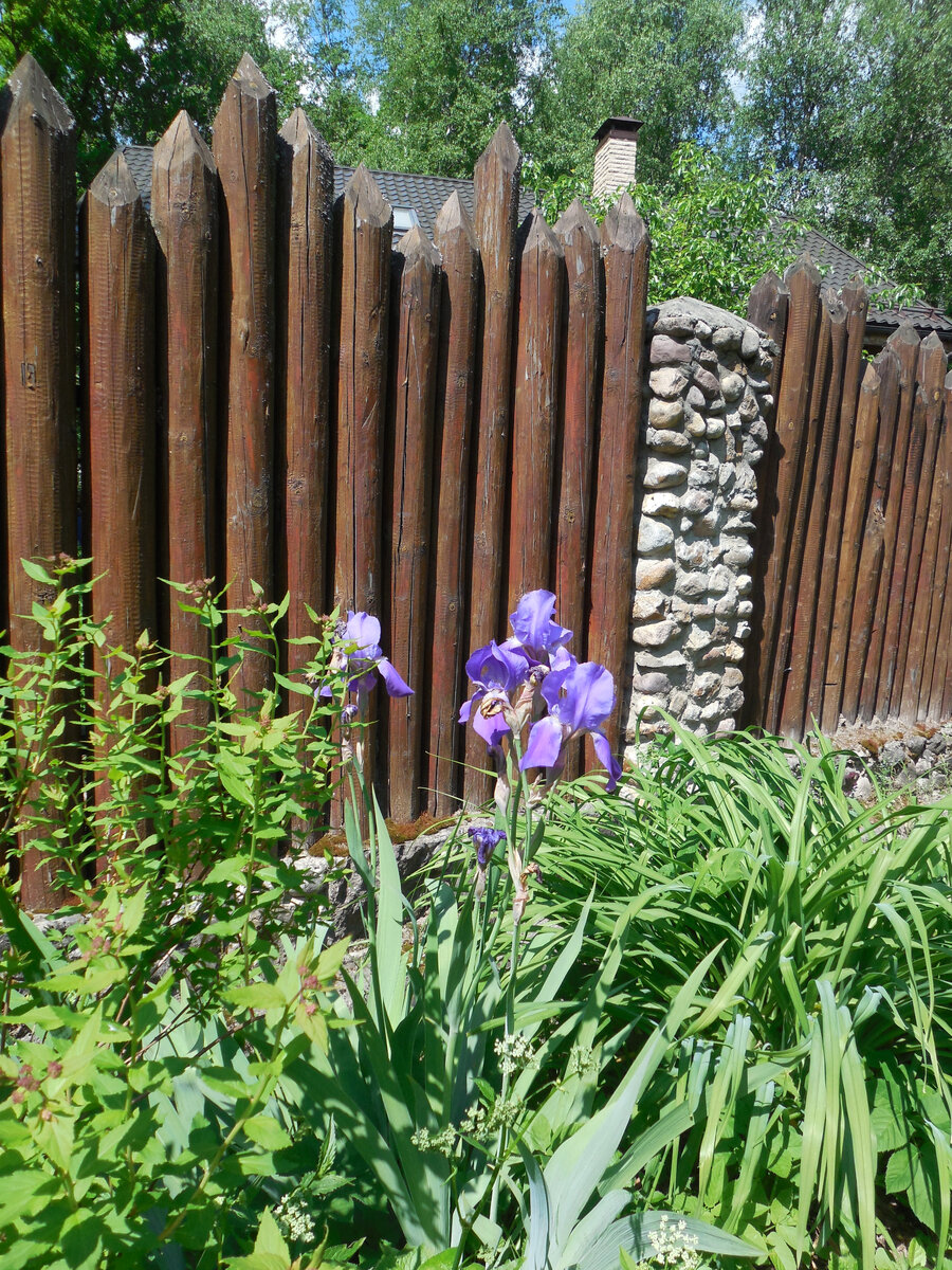 Забор- частокол. Красивый забор. Солидный и надежный!
