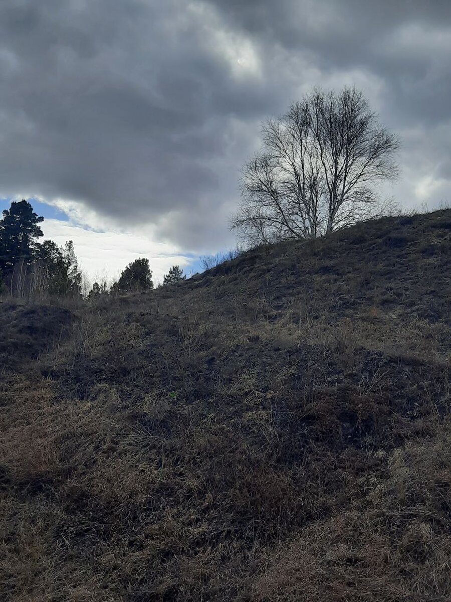 Фото автора. Вот такое небушко странное было в деревне - то солнце, то хмурилось.