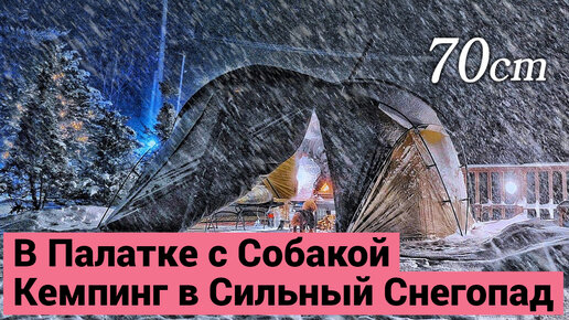 Поход с Собакой в Сильный Снегопад | Ночёвка в Палатке | Обогрев Печкой на Дровах