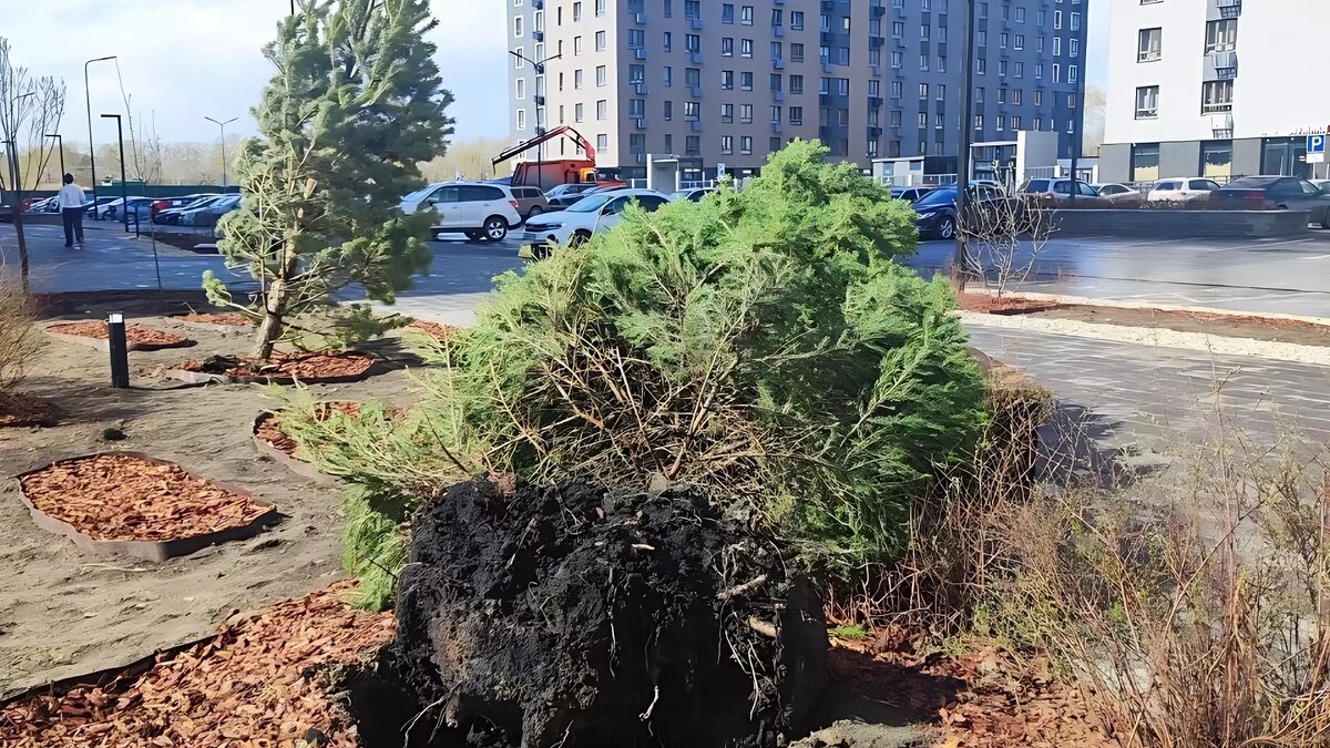     Источник: nashgorod.ru