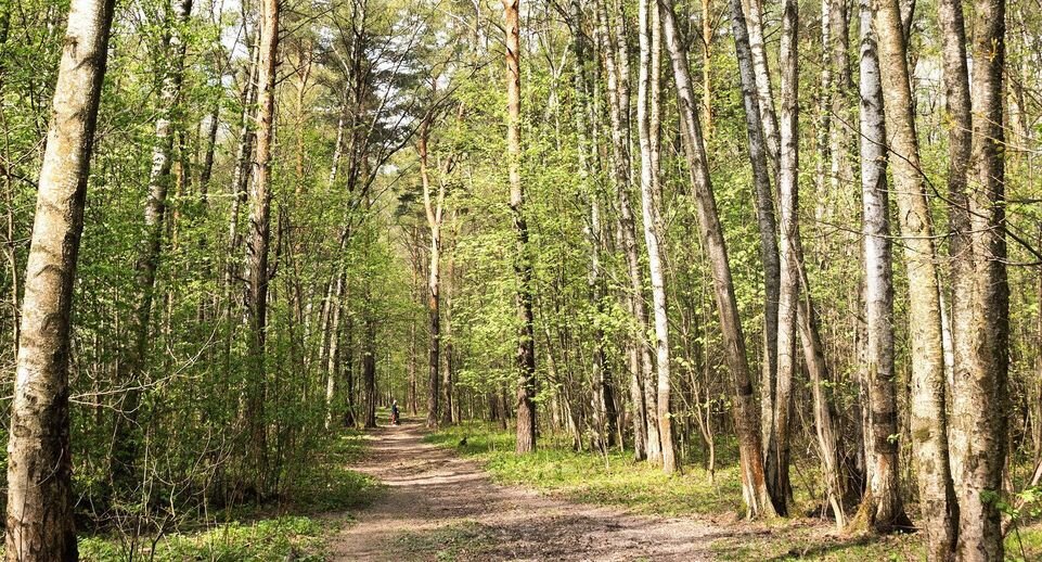    Владимир Безбородов Фотосайт Расфокус.ру