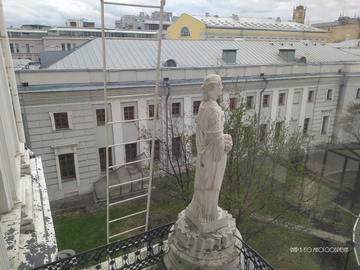 Дом Пашкова. Секреты бесплатного посещения самого красивого особняка Москвы  | Мир в его многообразии | Дзен