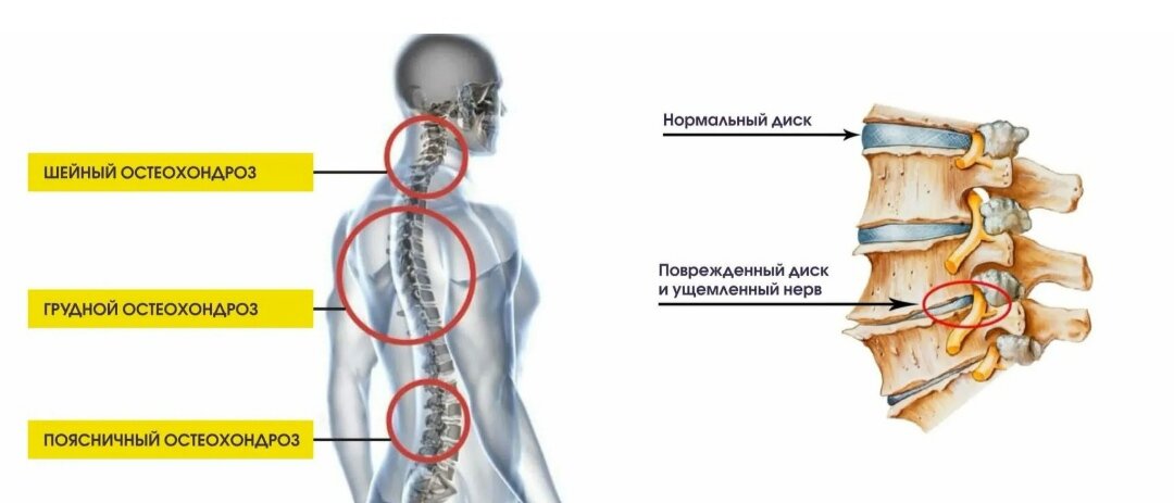 Изображение взято из пространства интернета