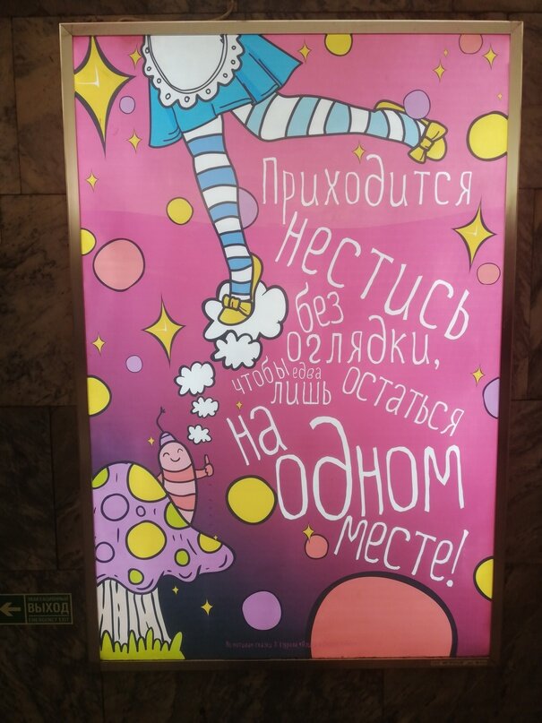 «Приходится нестись без оглядки, чтобы едва лишь остаться на одном месте…»