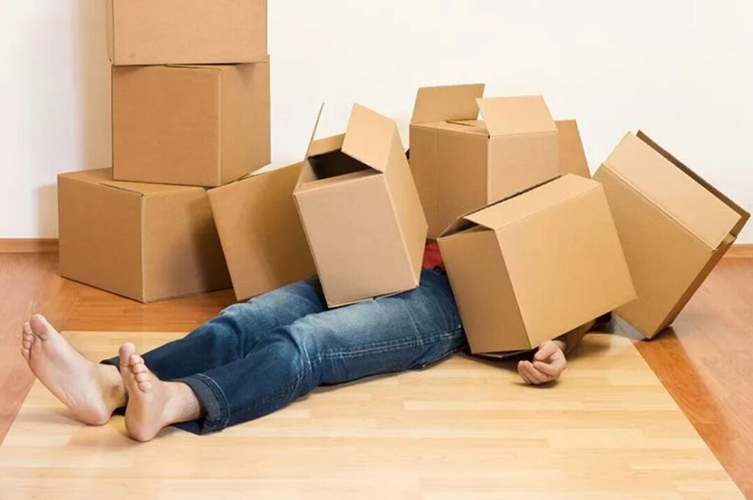 Фото из открытых источников. Яндекс картинки 