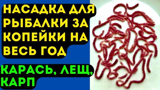 Насадка для рыбалки на КАРАСЯ, ЛЕЩА, КАРПА. Стоит копейки, но отлично работает.