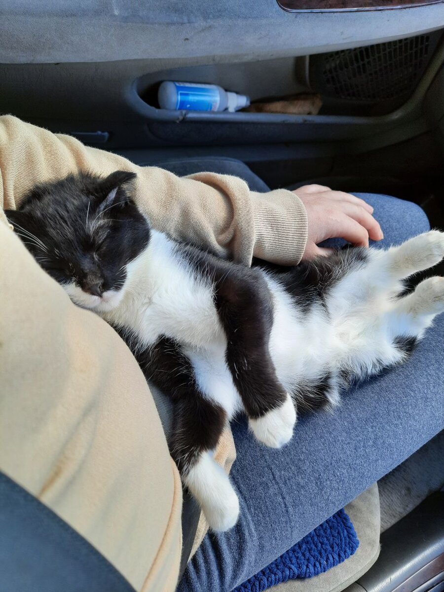 едем с похода