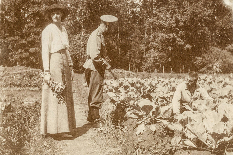 «Последние дни экс-императора Николая II и членов его семьи»: пребывание в Царском селе, напрасные надежды и крах планов