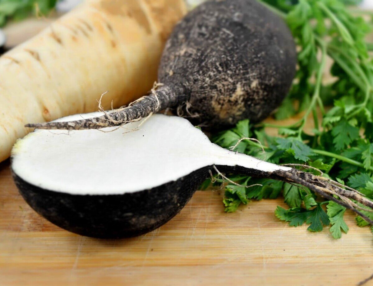 Чёрная редька