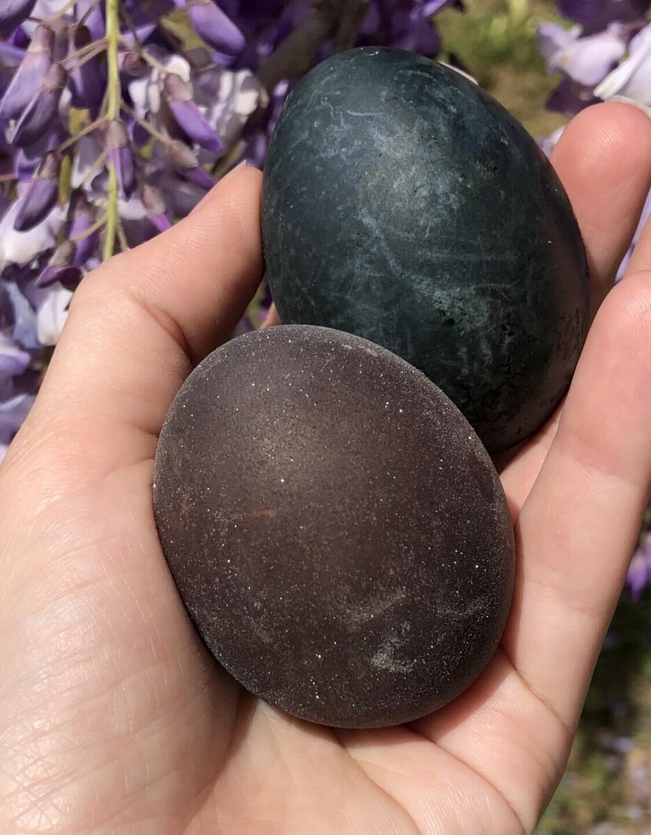 Sputnik, Марианна Кубрава