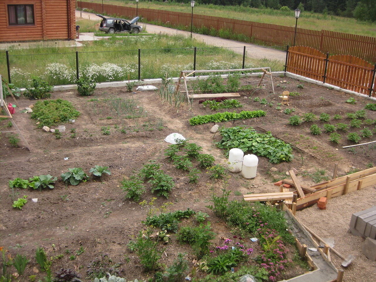 вариант 1. Примерно 2010 год.