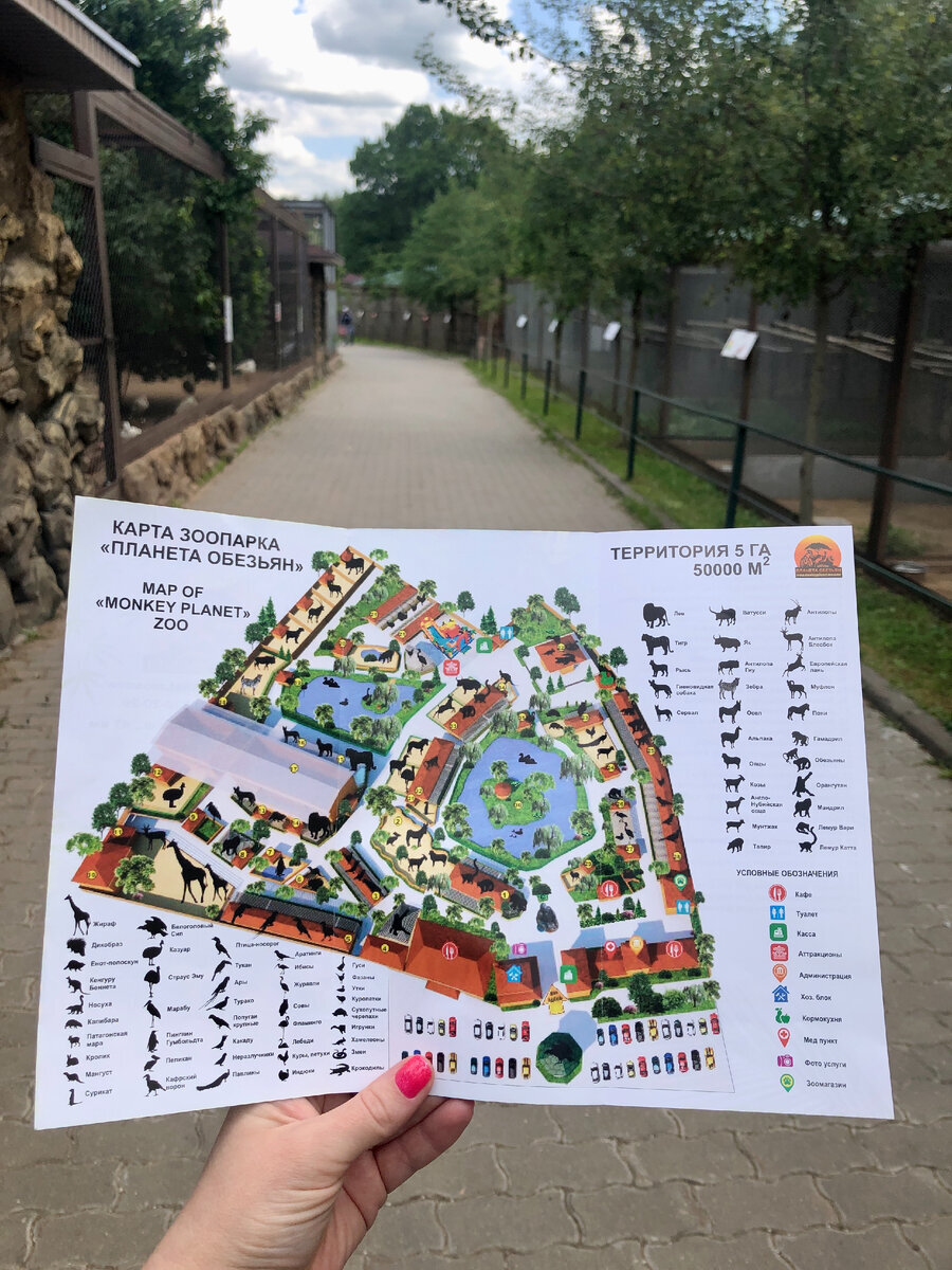 Карта планета зоопарка планета обезьян