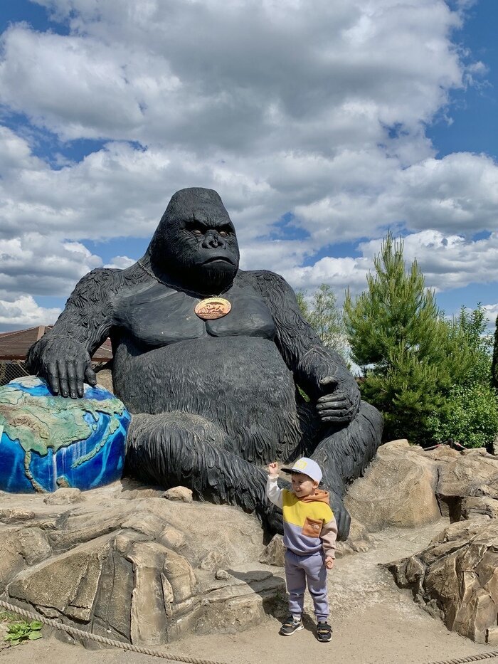 Добавьте описание