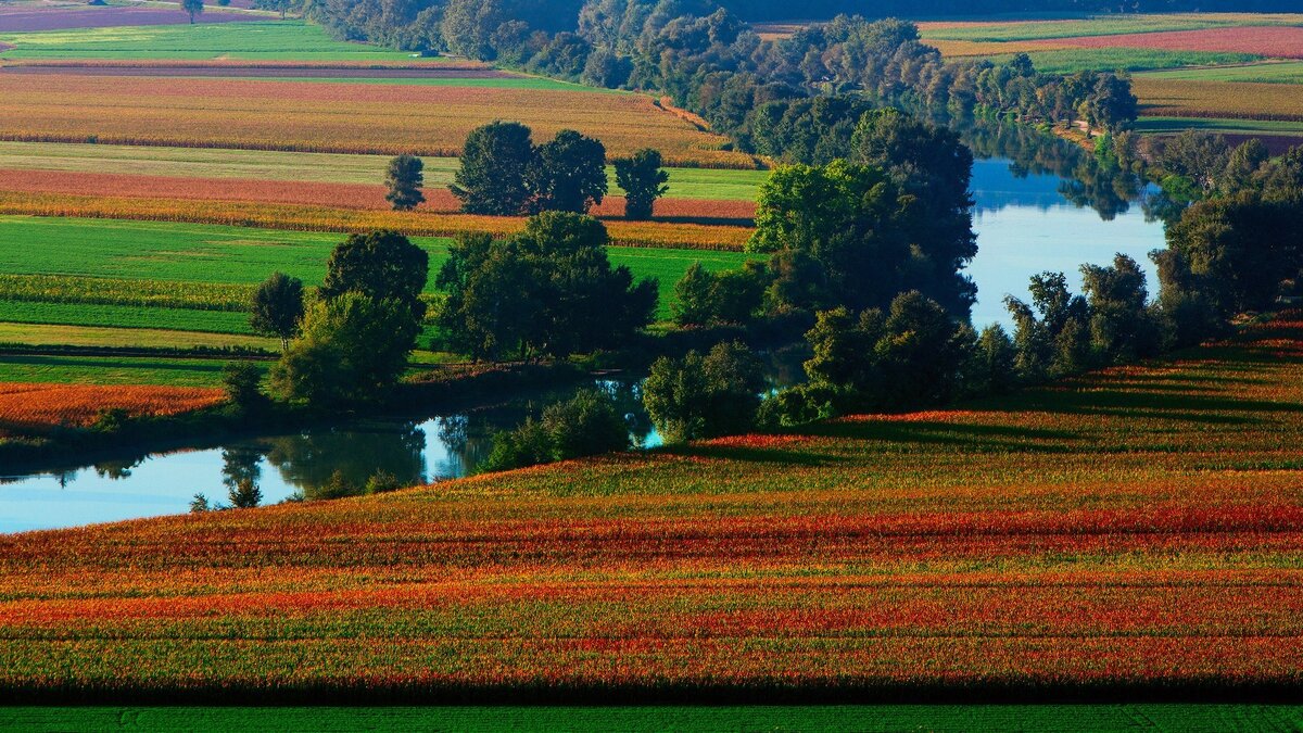 Поля у реки (фото из интернета)