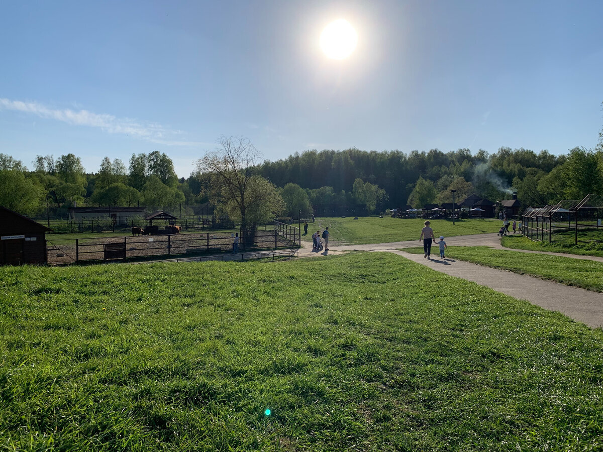 Парк птиц "Воробьи"