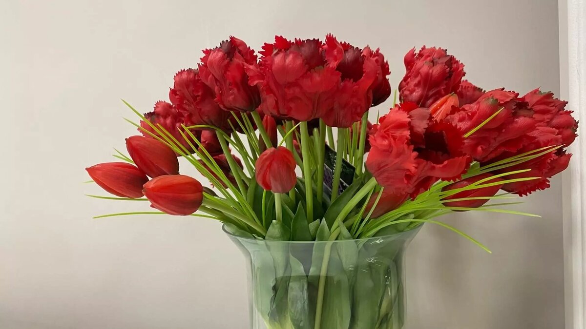     Источник: inkazan.ru